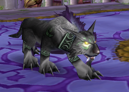 Druids of Azeroth Night Elf Cat preview